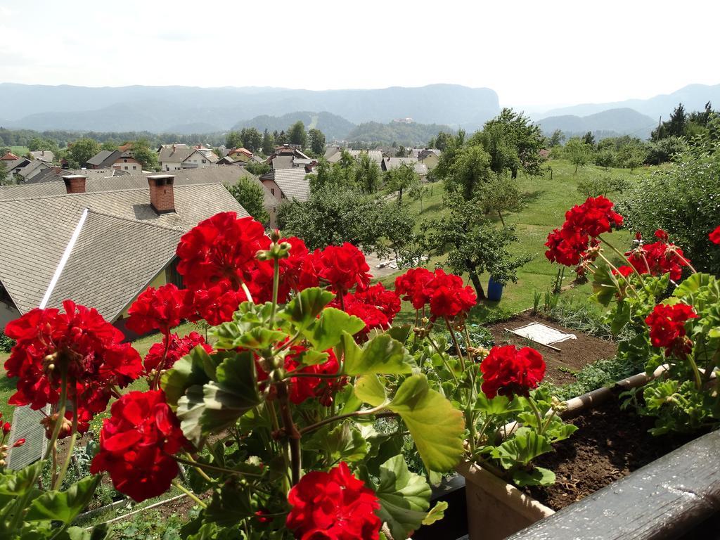 Garden Apartments Maria Bled Extérieur photo